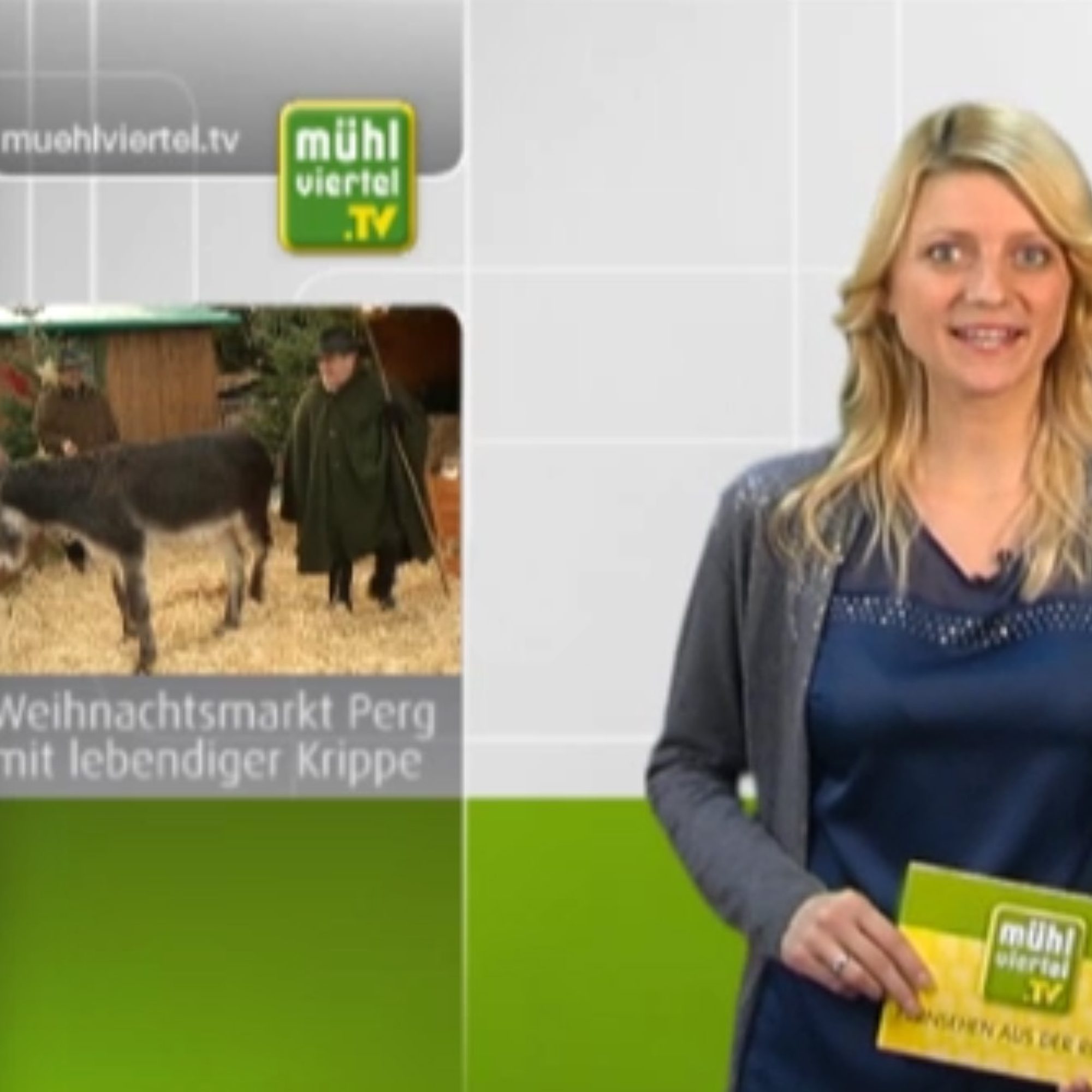 Christkindlmarkt 2013